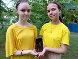 Мир Детства 2022
